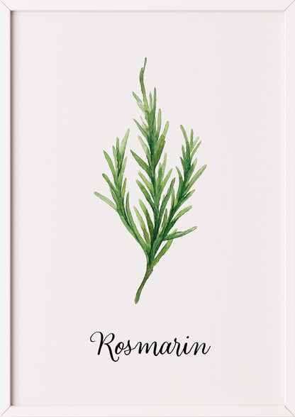 Rosmarin-Aquarell in Weißrahmen auf neutralem Untergrund