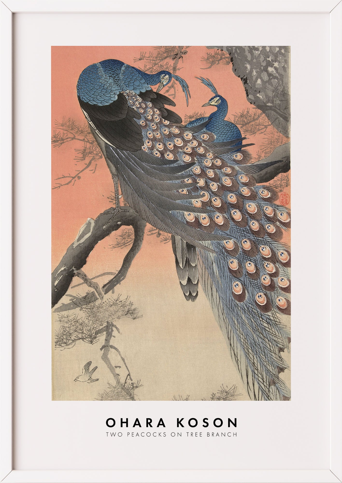 Nahaufnahme von Two Peacocks on Tree Branch von Ohara Koson als Poster