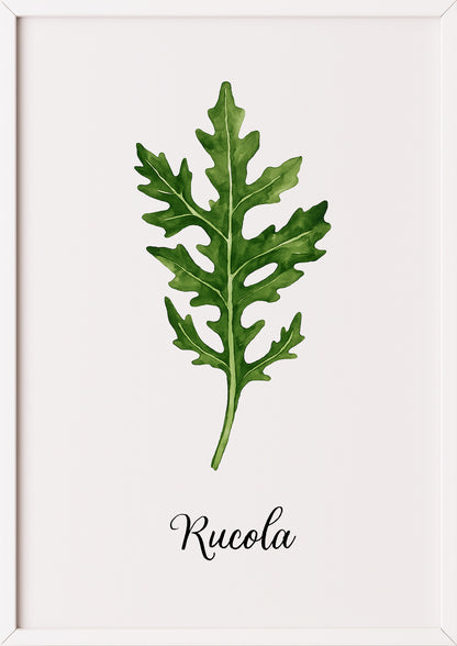 Rucolaposter im weißen Rahmen auf glatter Fläche mit viel Weißraum