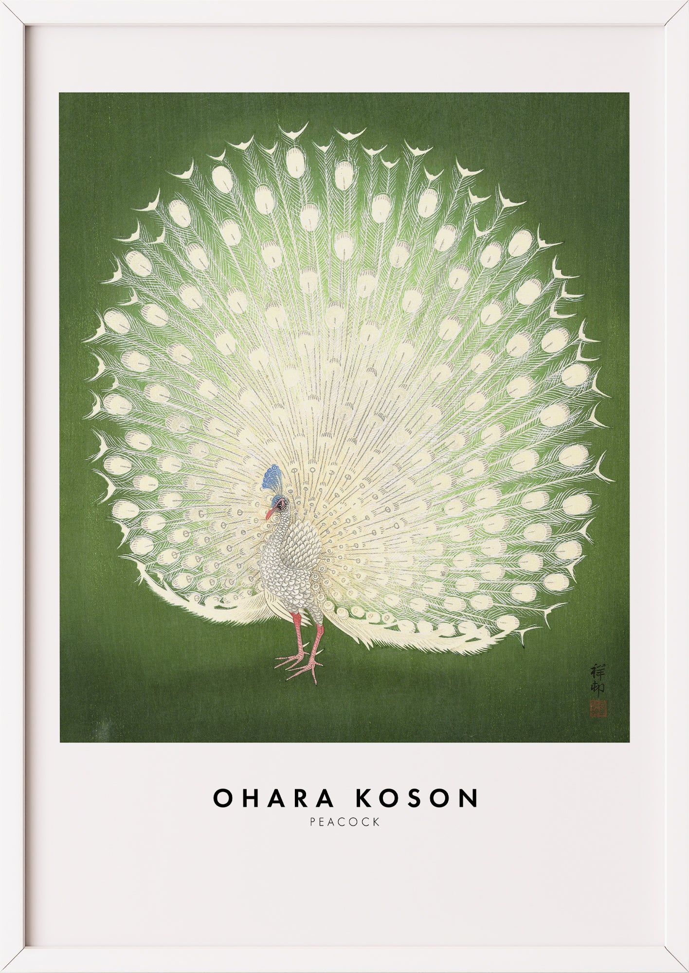 Nahaufnahme von Peacock von Ohara Koson als Poster