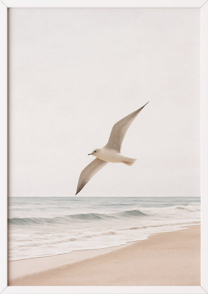 Möwenfotografie im weißen Rahmen mit klarer, maritimer Ästhetik