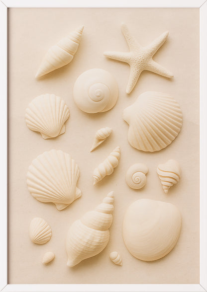 Fotoposter mit Muscheln im weißen Rahmen auf grauem Untergrund