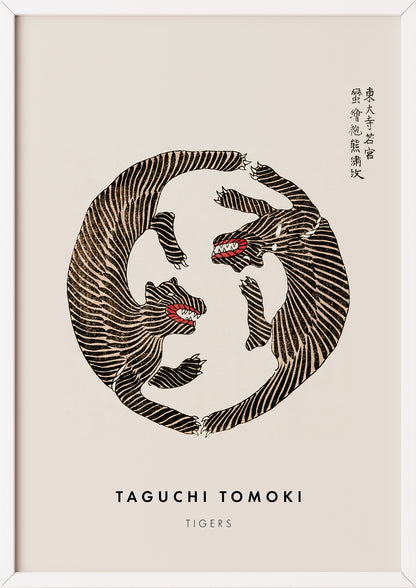 Nahaufnahme von Tigers von Taguchi Tomoki als Poster