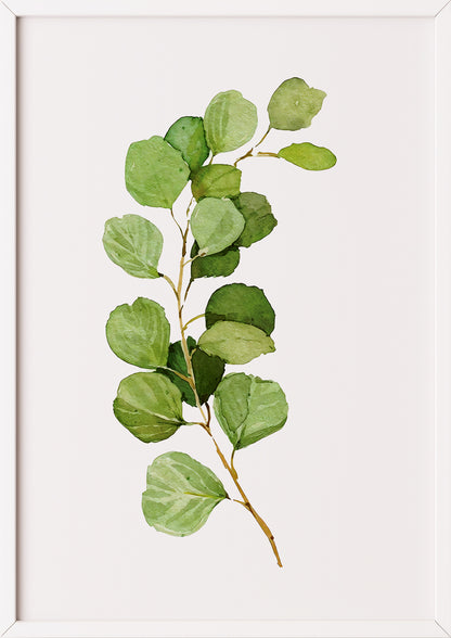 Poster mit Silver Dollar Eukalyptuszweig im weißen Rahmen an einer hellen Wand