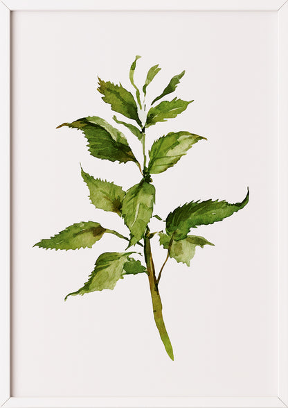 Poster mit Aquarellzweig im weißen Rahmen an einer hellen Wand