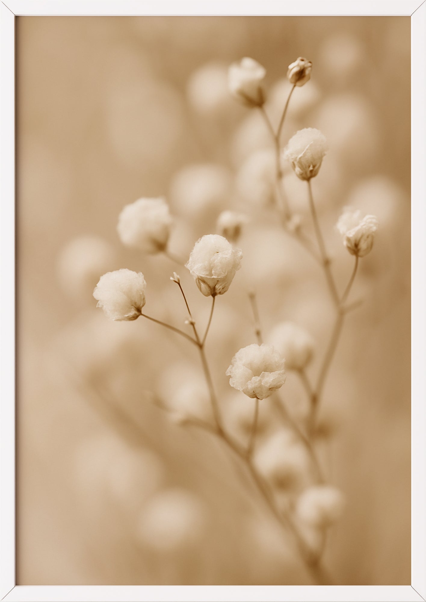 Beruhigender Wanddruck mit floralem Charakter