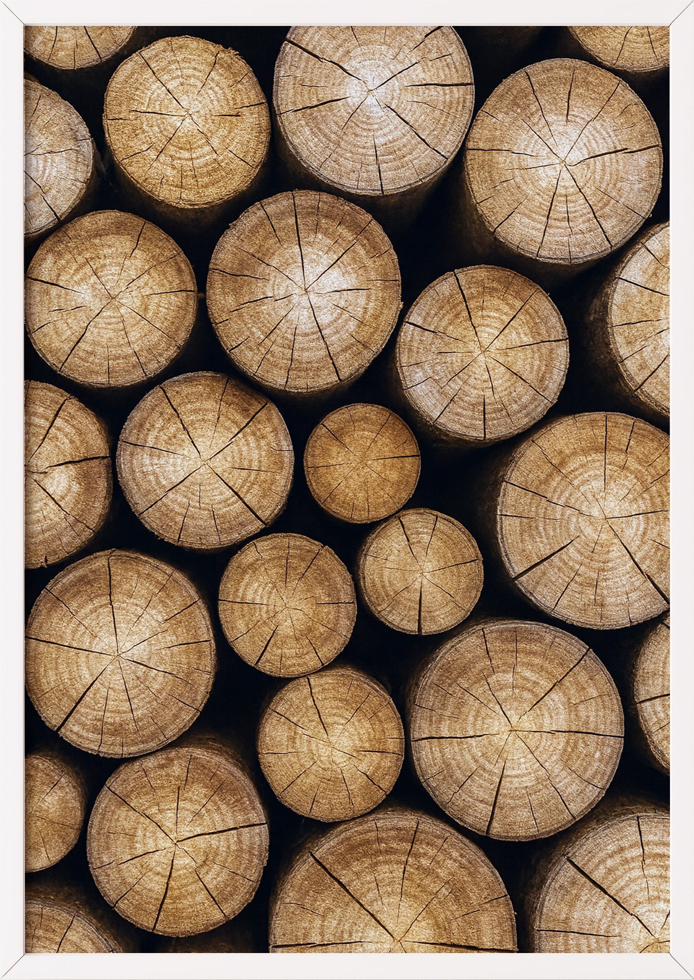 Poster Baumstämme im weißen Holzrahmen