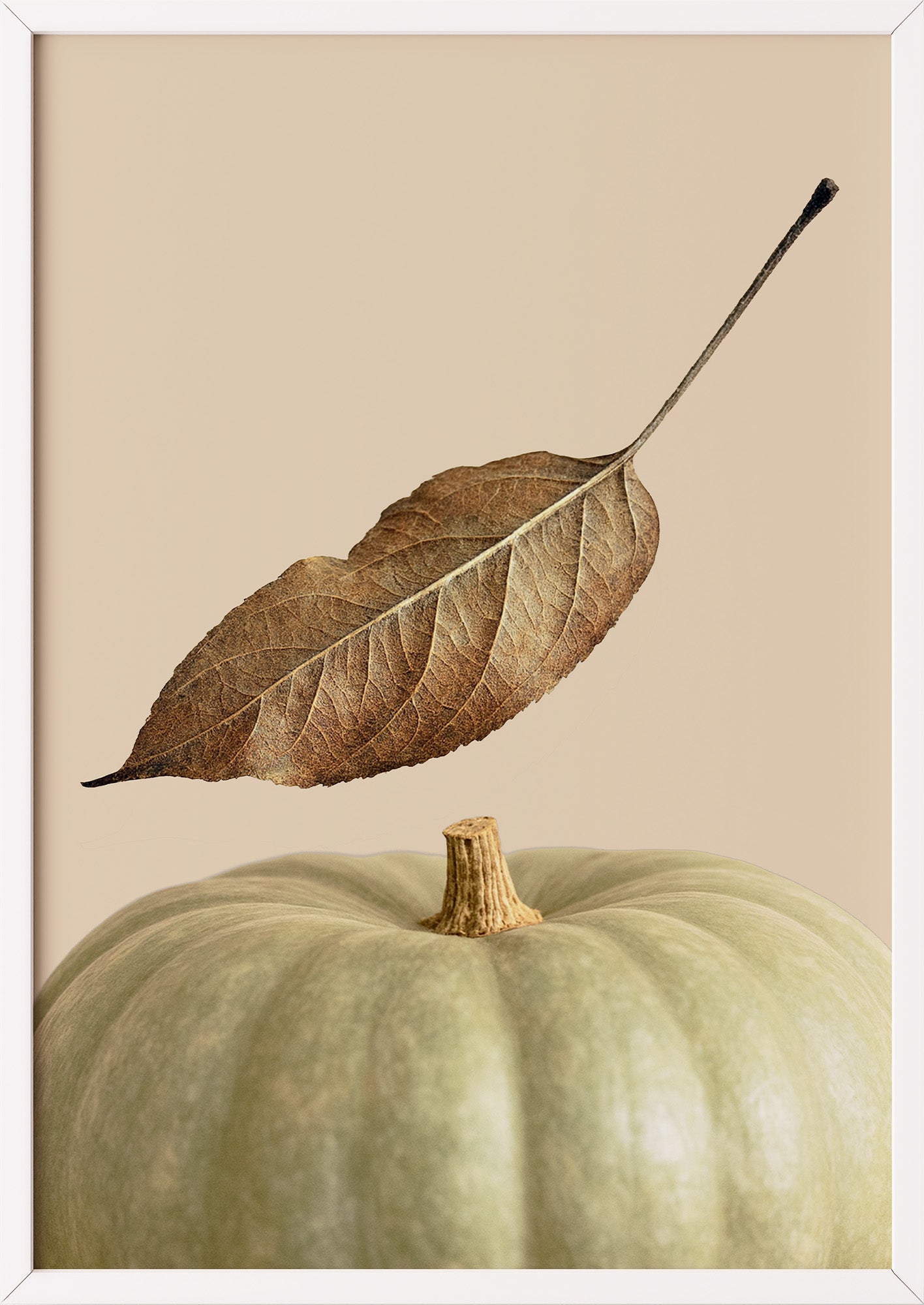 Poster Kürbis mit Blatt im weißen Holzrahmen