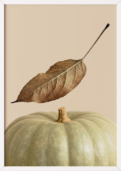 Poster Kürbis mit Blatt im weißen Holzrahmen