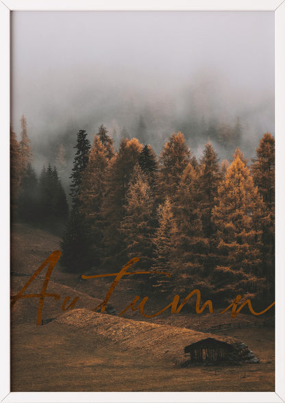 Poster Autumn Forest im weißen Holzrahmen