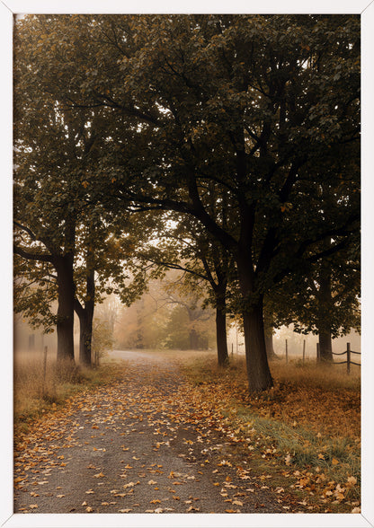 Poster Herbstwald auf dem Land im weißen Holzrahmen