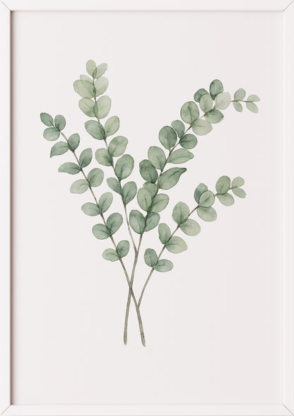 Eukalyptus Aquarell Poster im weißen Rahmen