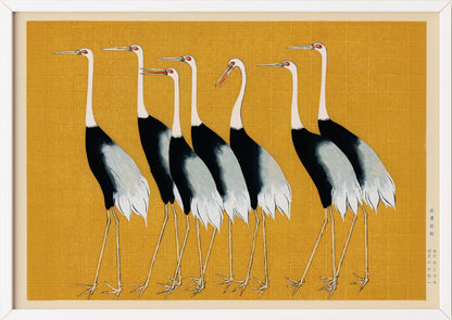 Japanische Kunst von Ogata Korin mit roten Kronenkranichen im weißen Rahmen stilvoll präsentiert